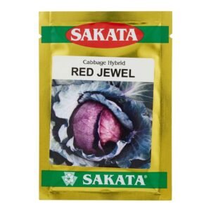 SAKATA Cabbage Hybrid RED JEWEL | 100 seeds