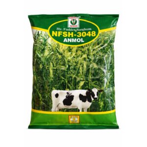 NIRMAL SEEDS NFSH 3048 Anmol Hybrid fodder Sorghum | 1 kg