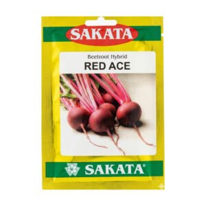 SAKATA Beetroot Hybrid Red Ace | (2.25 gm) 250 seeds