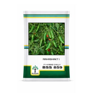 KALASH BSS-859 F1 Hybrid Chilly (MAHASHAKTI 1) | 10 gm