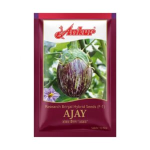 ANKUR Research Brinjal Hybrid Seeds-AJAY | 10 gm