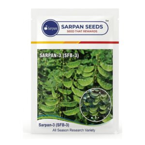 SARPAN SEEDS Sarpan-3 (SFB-3) Dolichos Bean Seeds | 500 gm