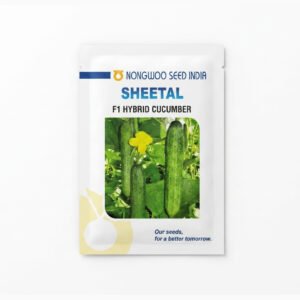 NONGWOO SEED INDIA SHEETAL F1 Hybrid Cucumber | 25 gm