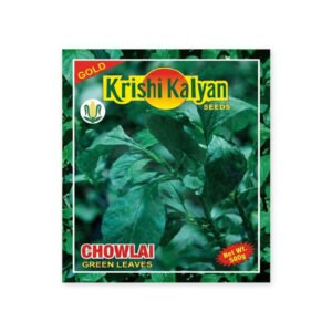 KRISHI KALYAN SEEDS Chowlai Green Leaves | 500 gm