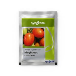 SYNGENTA Tomato Hybrid Seed MEGHDOOT (TO 2048) | 9.2 gm