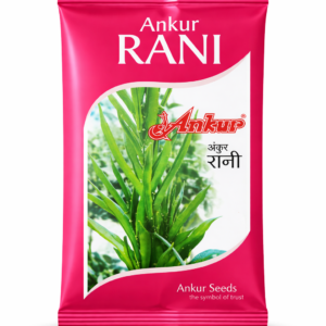 ANKUR RANI  Cluster Bean hybrid seeds| 100gm