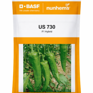 NUNHEMS US-730 F1 Hybrid | 7 gm (1500 seeds)